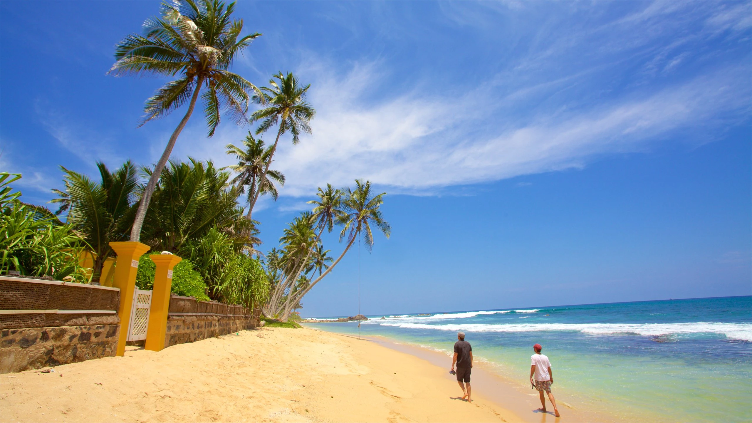 Sri Lanka Tea Country And Wildlife Tour