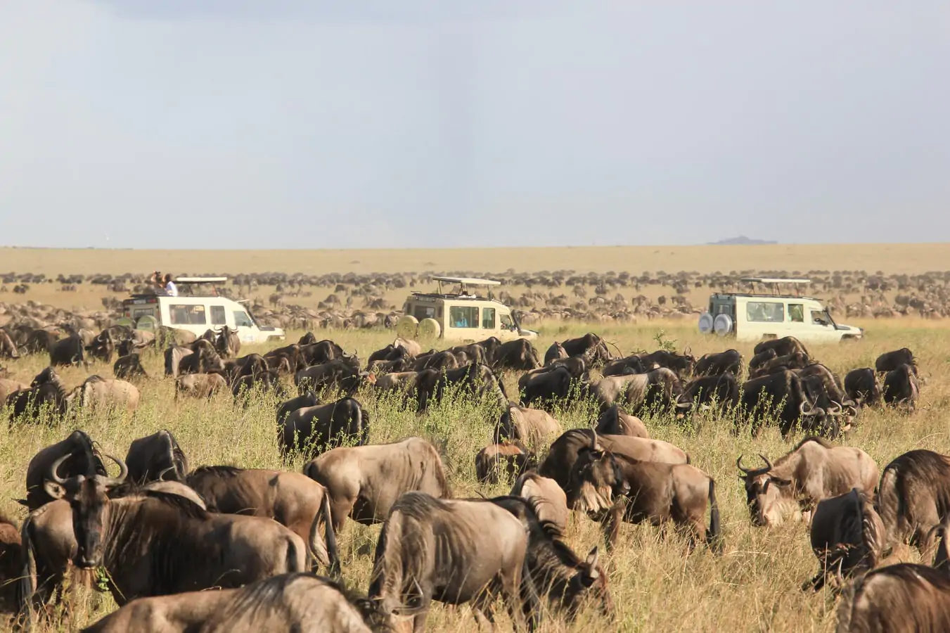 Tanzania tour.
