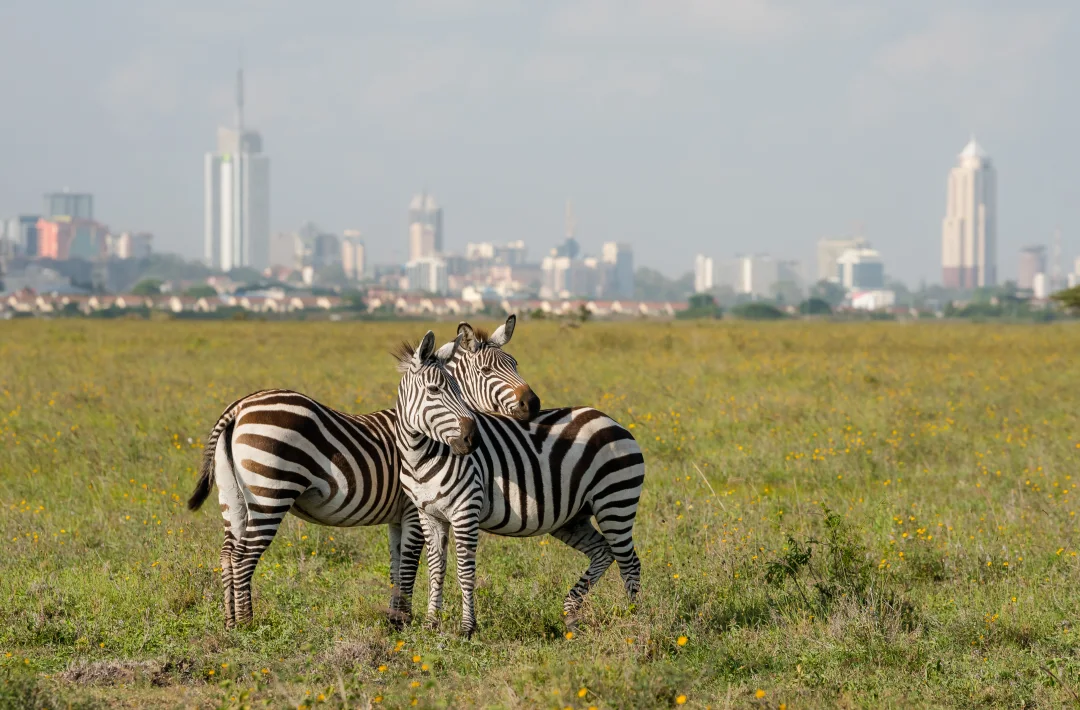 Kenya tour.