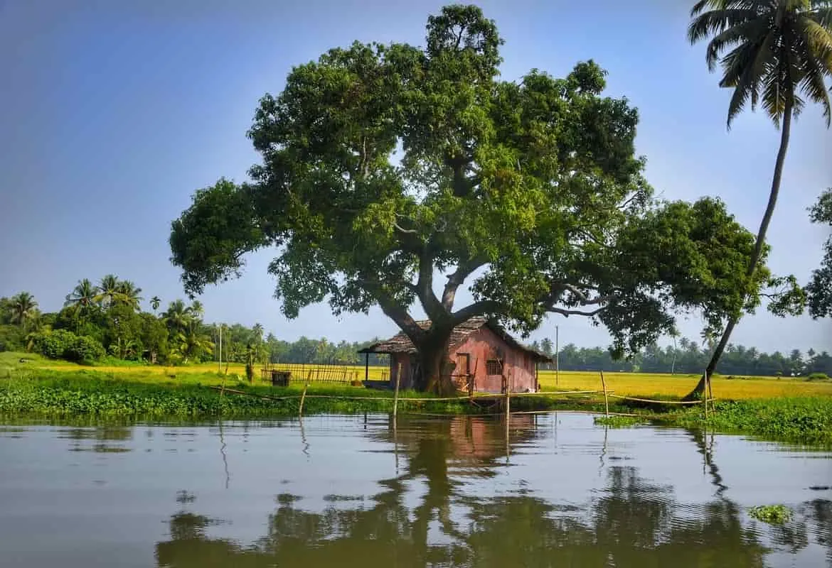Kerala tour.