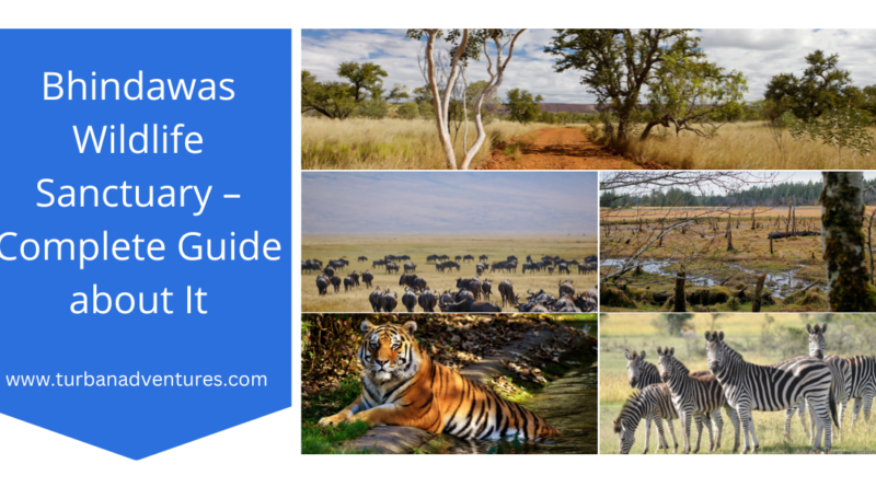 Bhindawas Wildlife Sanctuary – Complete Guide about It