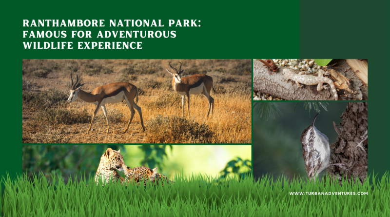 Ranthambore National Park