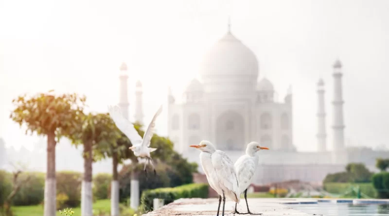 How to Spend a Day at the Taj Mahal