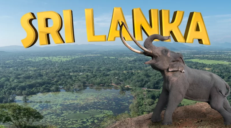 Sri Lanka Tours & Excursions in 2024