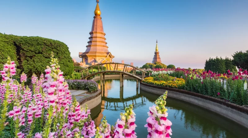 Top 6 Things to Experience on Your Thailand Trip