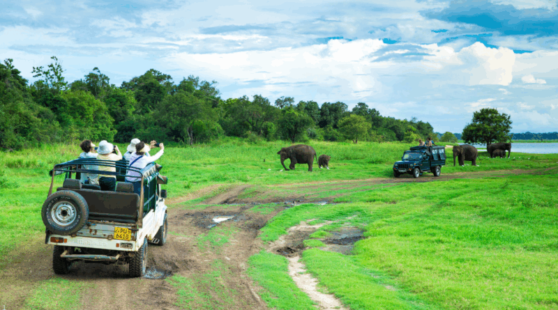 10 Best Places To Visit In Sri Lanka For First-Time Visitors