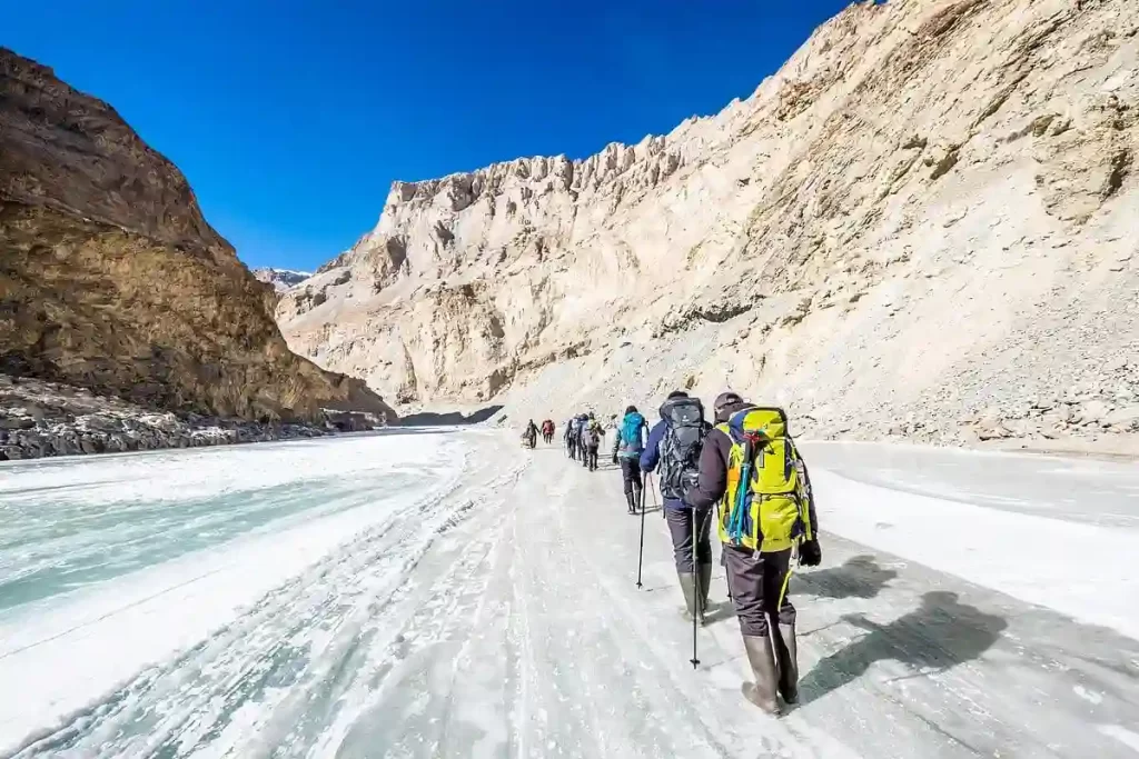 Trekkers walking on the frozen Zanskar River during Chadar Trek in Ladakh