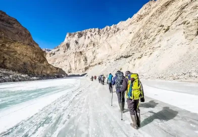 Trekkers walking on the frozen Zanskar River during Chadar Trek in Ladakh.