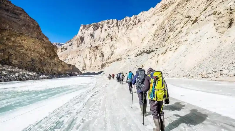 Trekkers walking on the frozen Zanskar River during Chadar Trek in Ladakh.