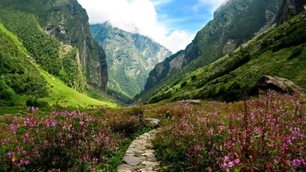 River and alpine landscape in Valley of Flowers Uttarakhand India