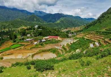 Sapa Trekking Guide