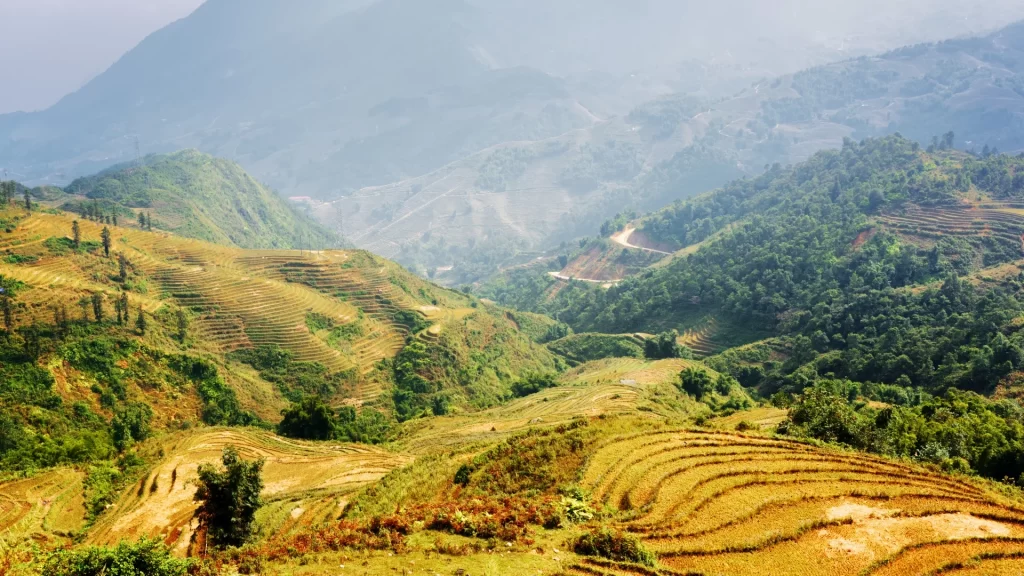 Sa Pa